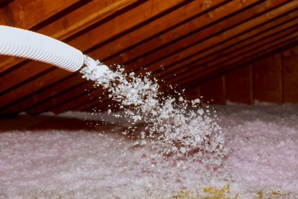 Insulation Inspection Services in Caledonia, MS