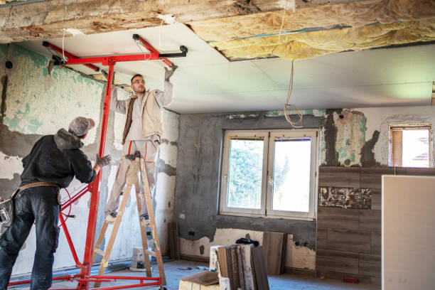 Best Home Insulation Services  in Caledonia, MS